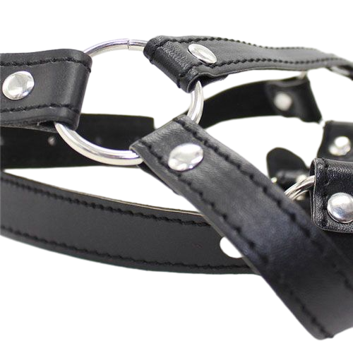 Imbracatura Bondage Head & Ring
